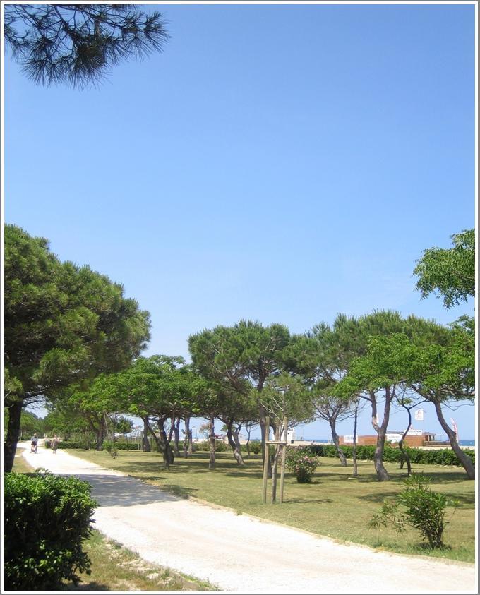 Locations Meublees Plage Des Pins Argelès-sur-Mer Exteriér fotografie